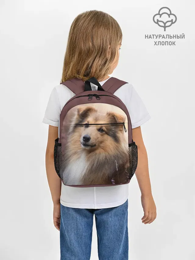 Шелти