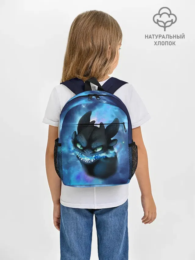 Night Fury