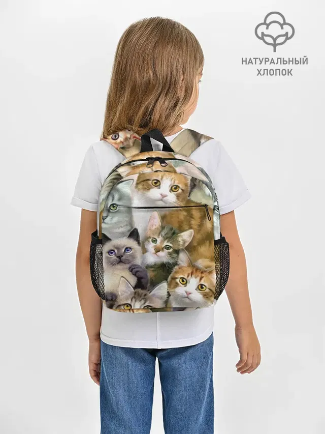 Котишики