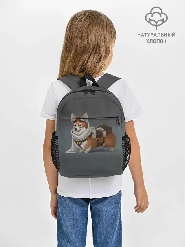 КОРГИ ПИЛОТ