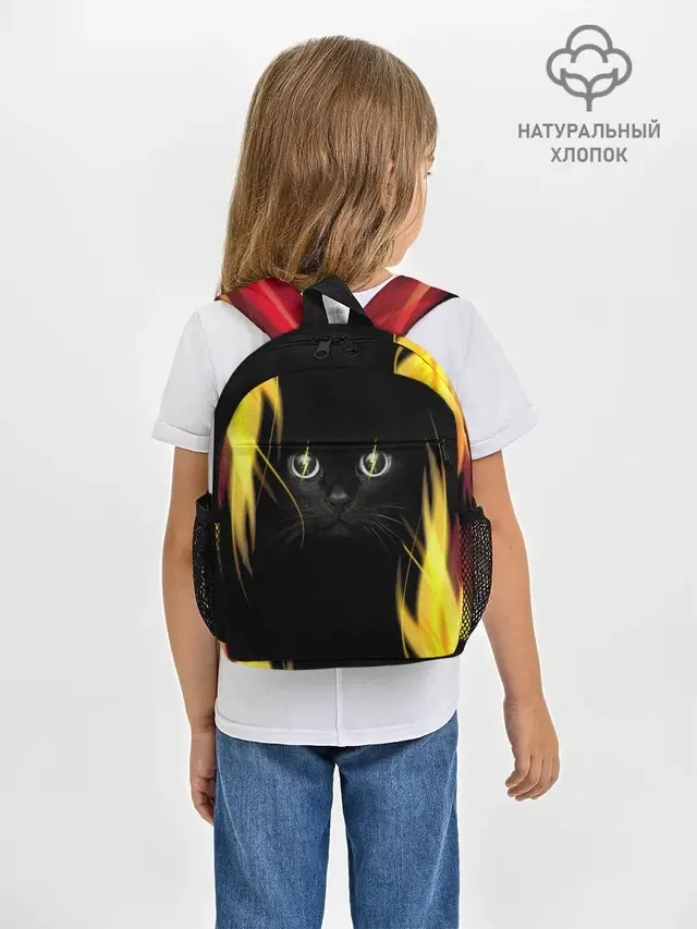 Грозовой кошак