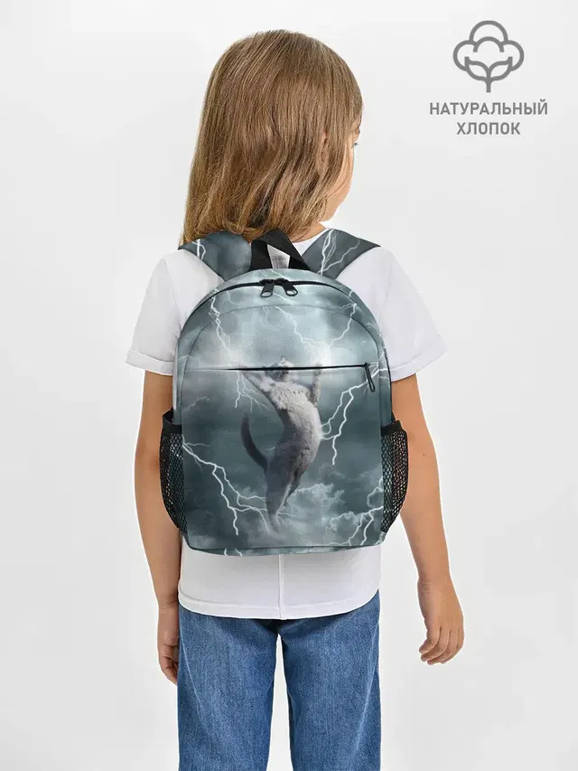 Грозовой кошак.