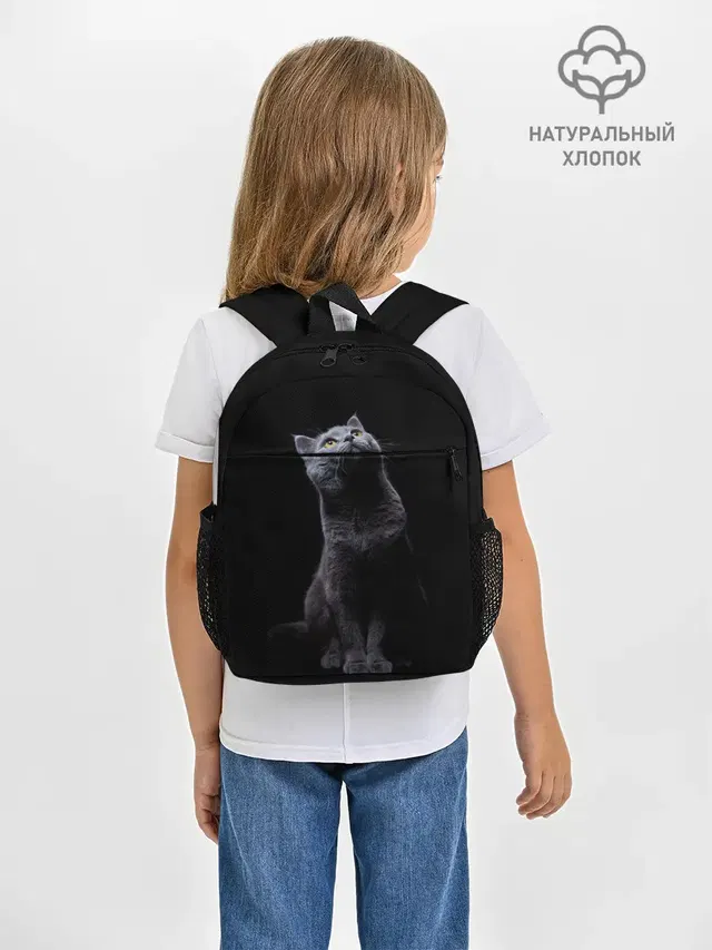 Кот Британец