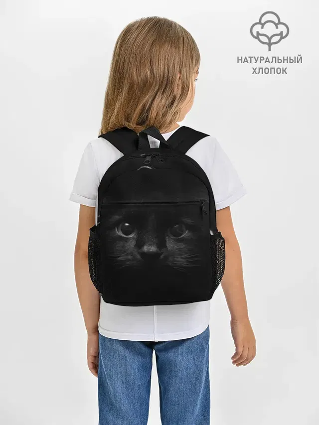 Чёрный кот