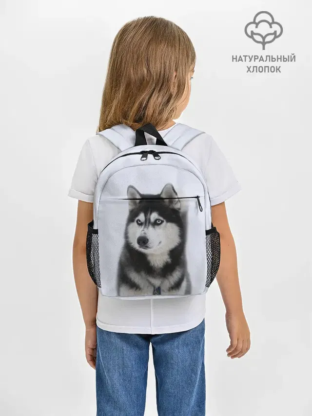 ХАСКИ