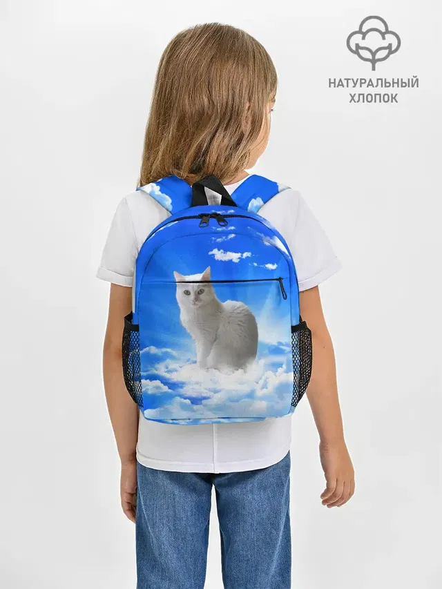 Кот в облаках