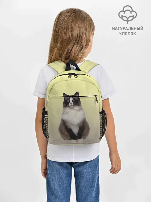 персидская пушистая кошка