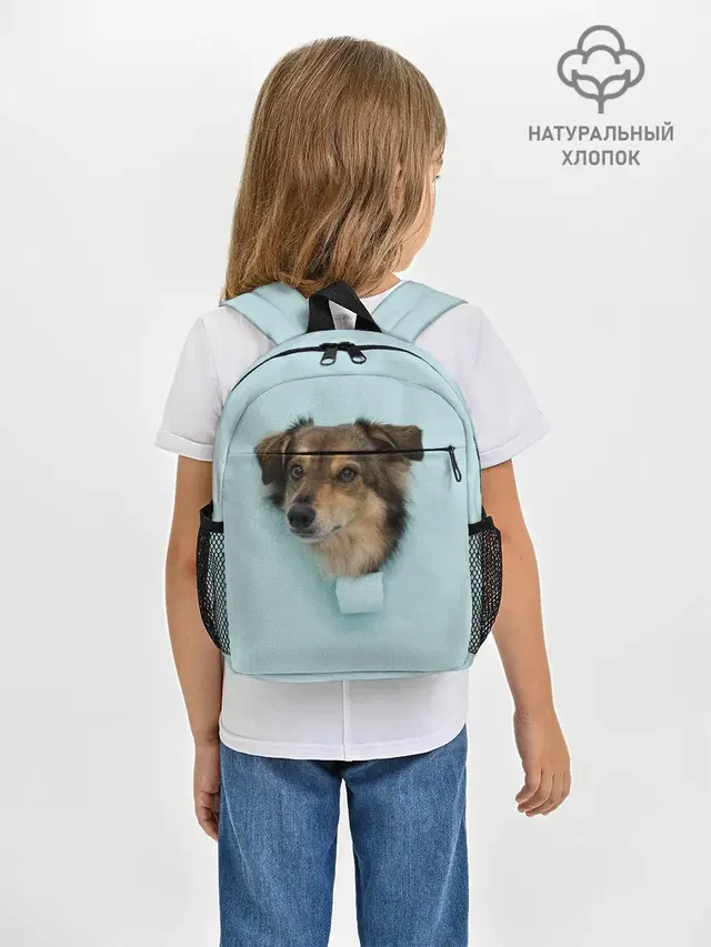 Беспородная Собака дворняга / A Dog