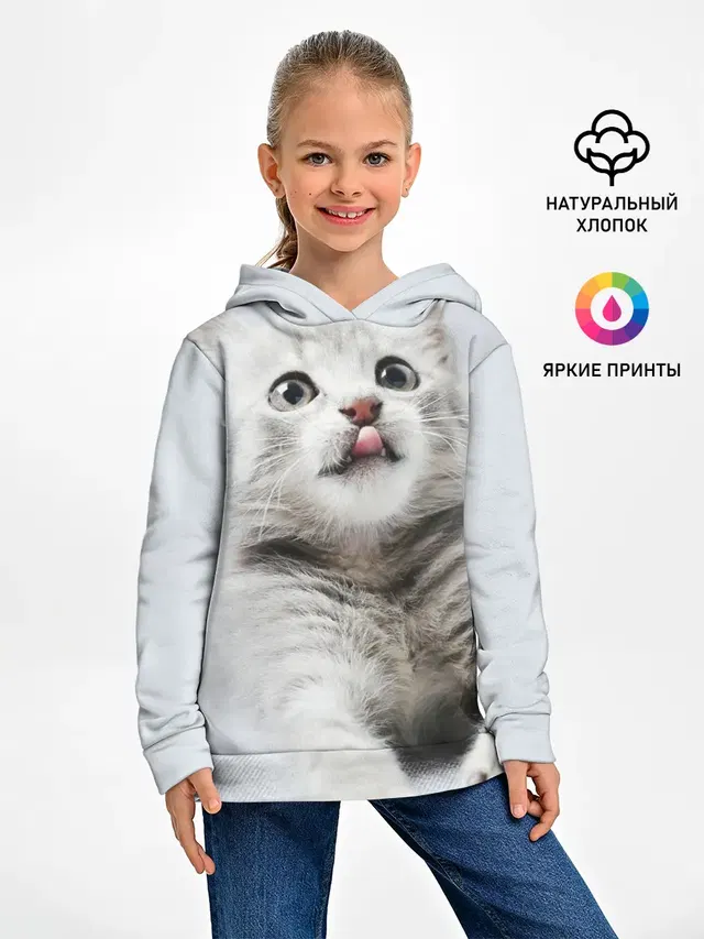 серый котенок