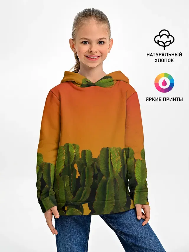 Кактусы на закате