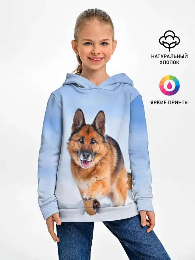 Овчарка и снег
