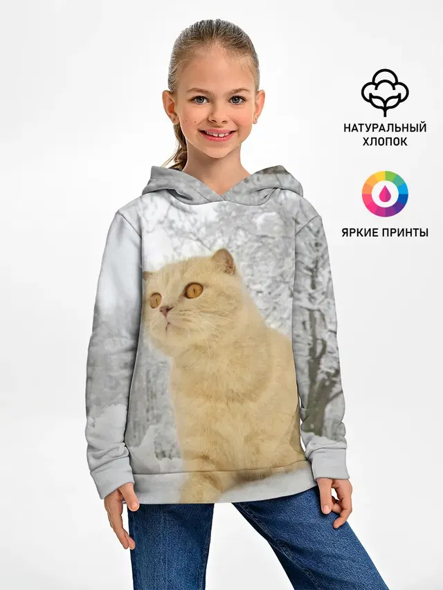 Кот и снег