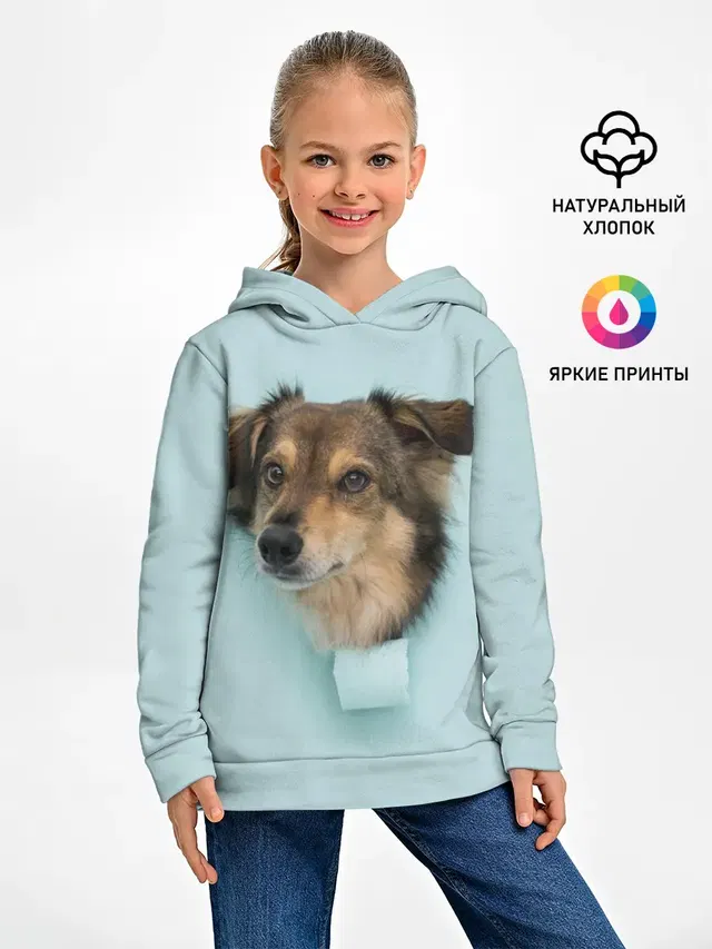 Беспородная Собака дворняга / A Dog