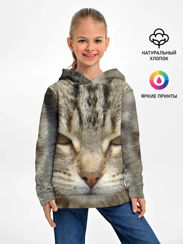 Кот