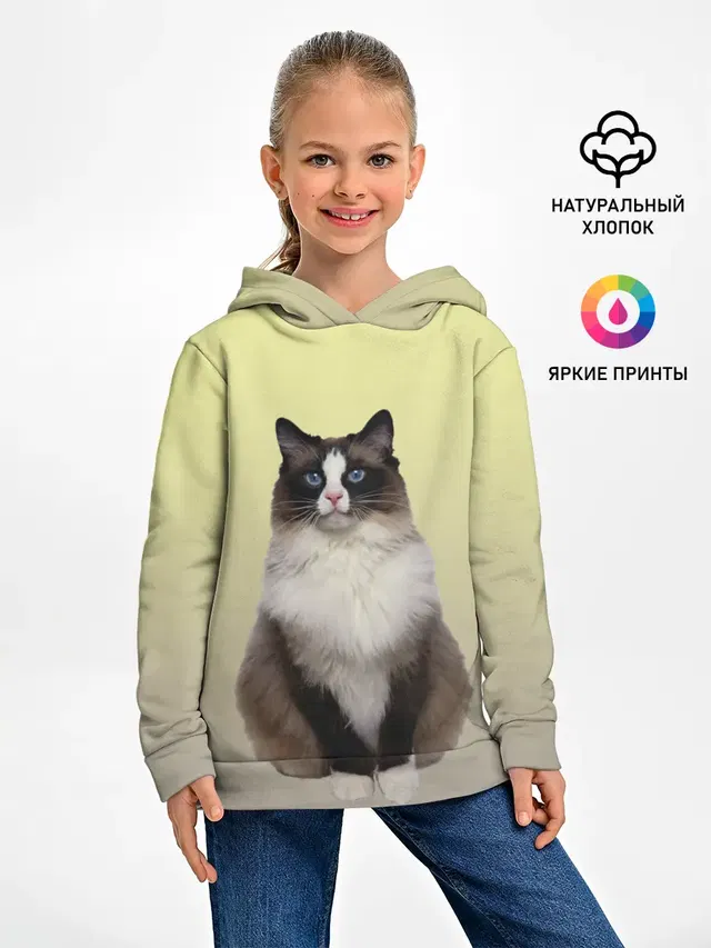 персидская пушистая кошка