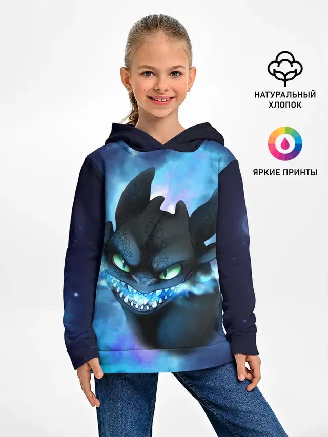 Night Fury