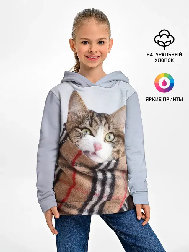 Кот в шарфе