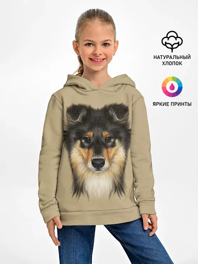 Sheltie