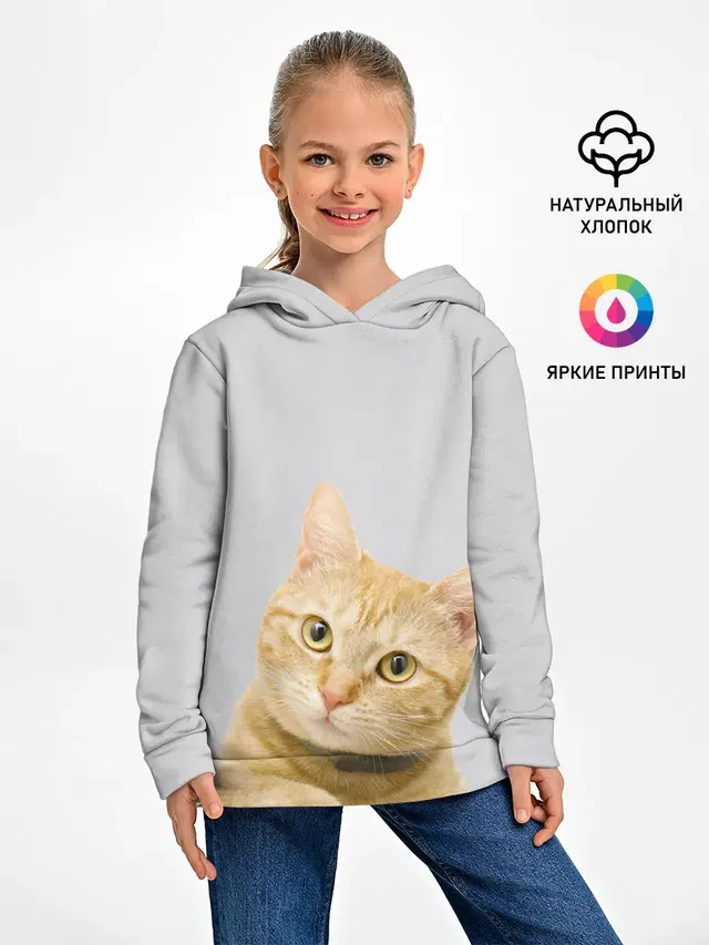 Рыжий котик