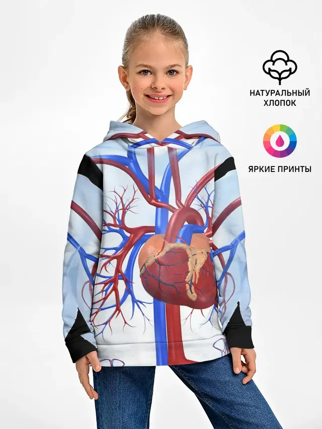 Сердце