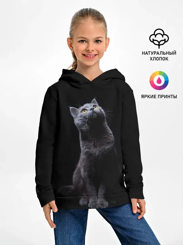 Кот Британец
