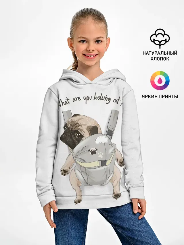 Мопс в рюкзаке