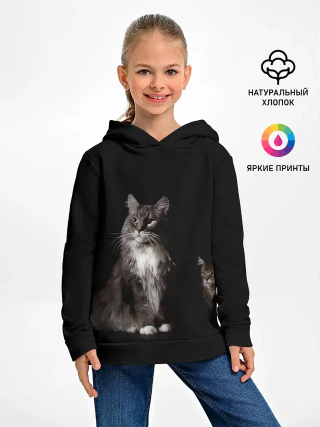 Котики