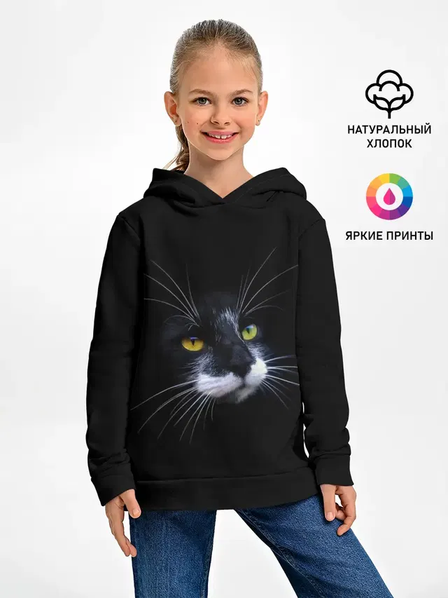 Кот