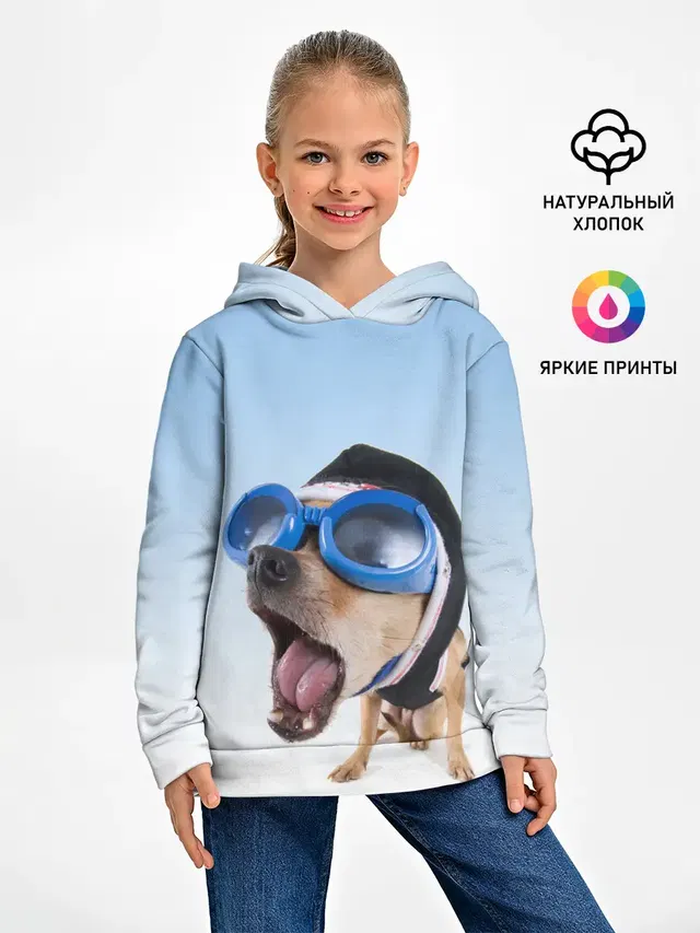 собака в очках