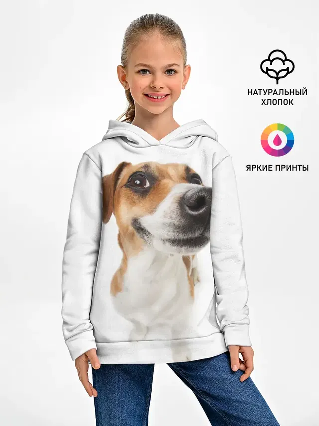 Собака