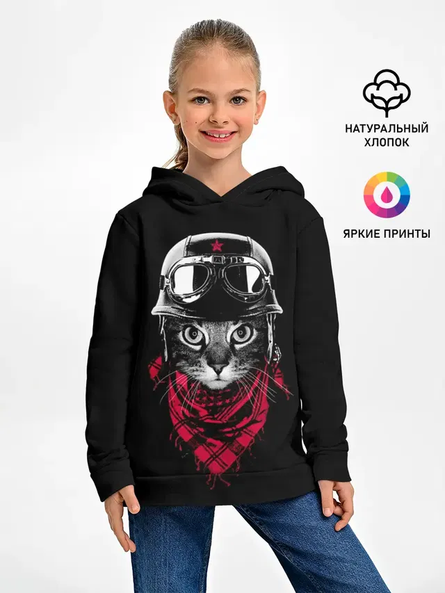 Кот Пилот