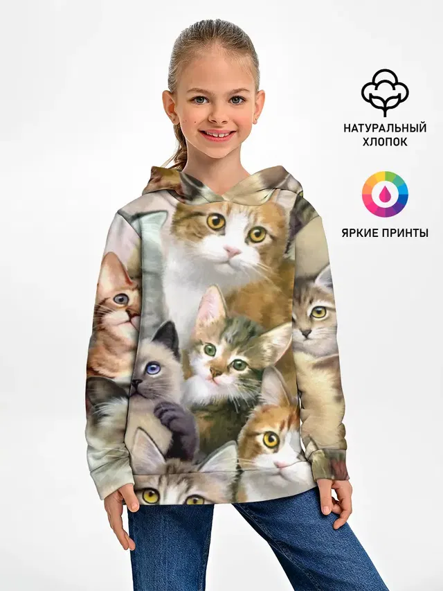 Котишики