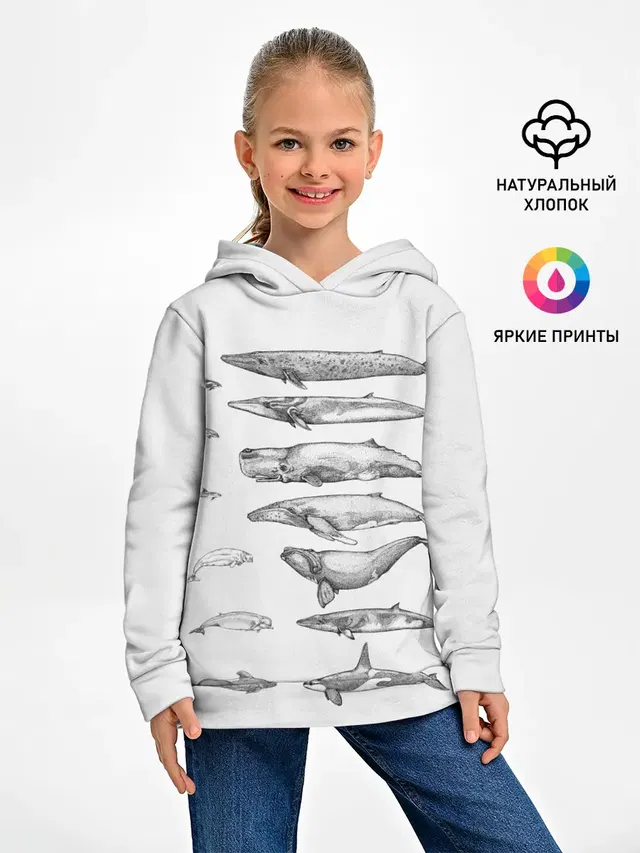 киты графика