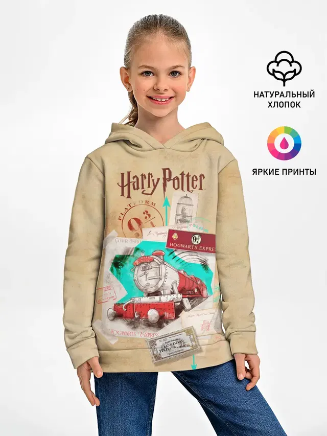 Harry Potter Hogwarts Express