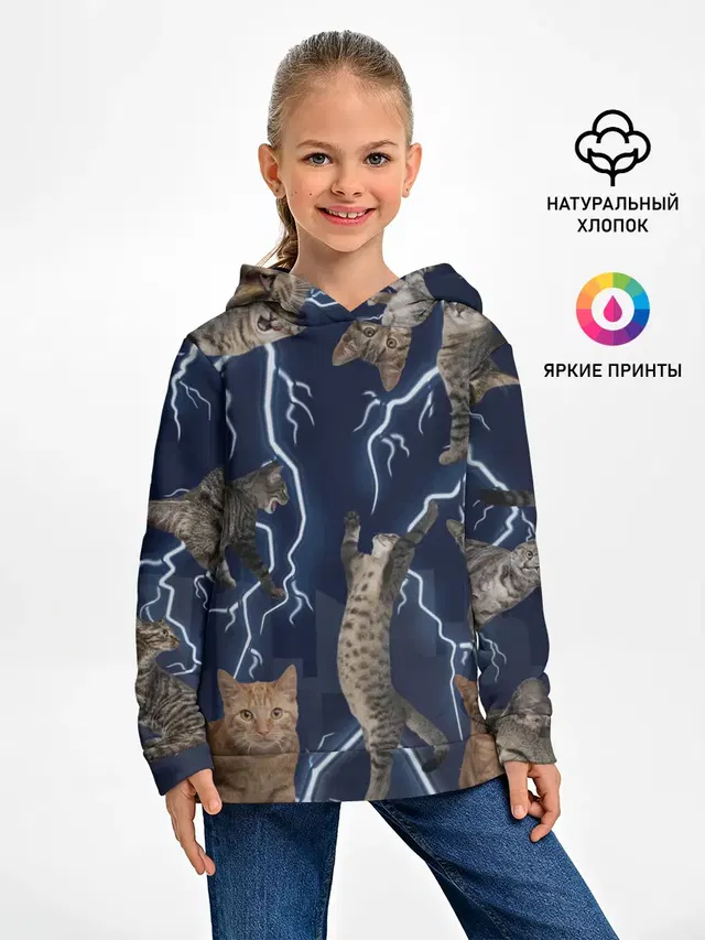 Коты