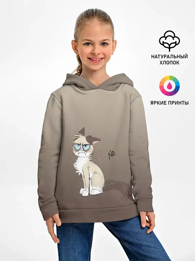 сварливый кот мем нет