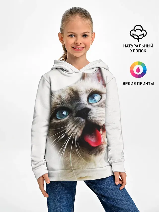 Котик