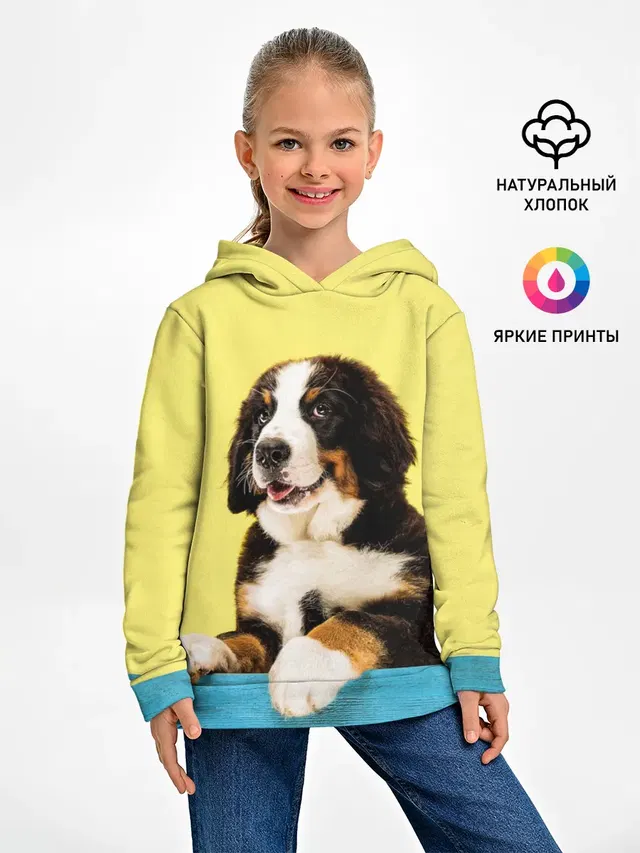 Бернский зенненхунд, Berner Sennenhund