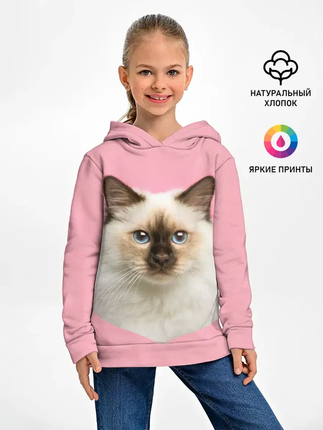 Пушистый кот