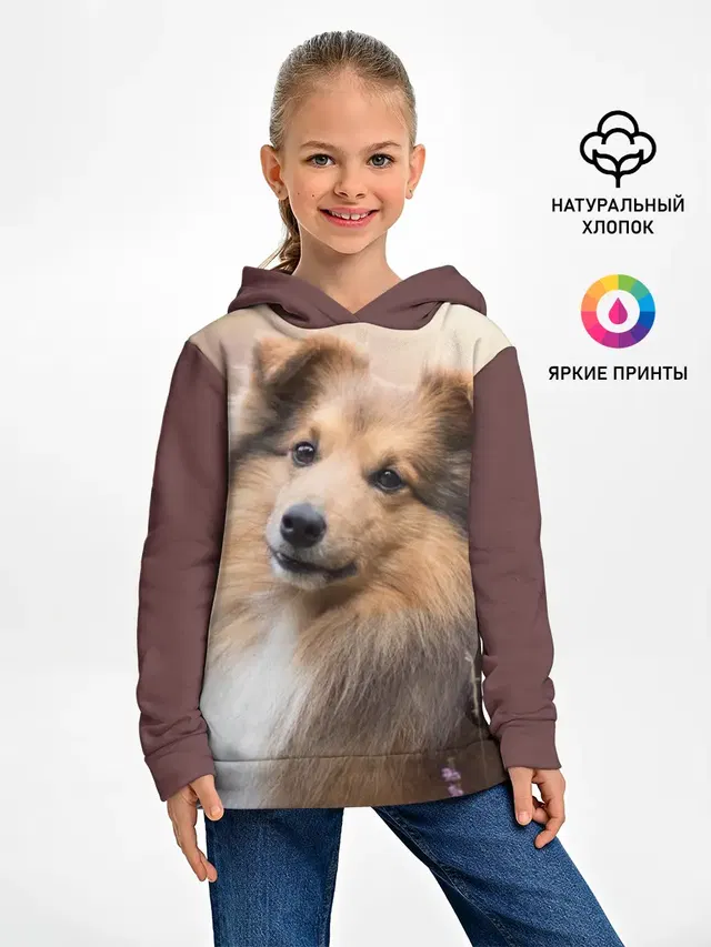 Шелти