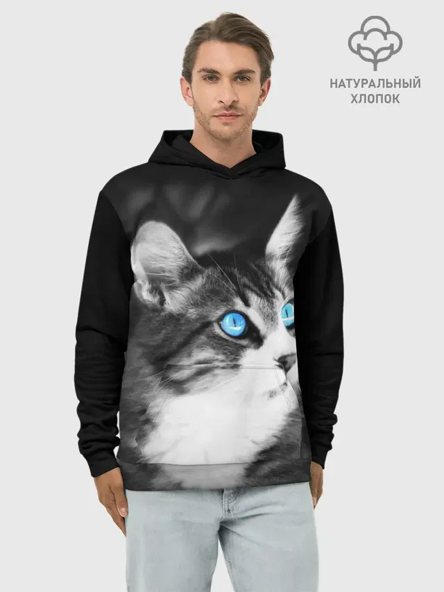 Кот