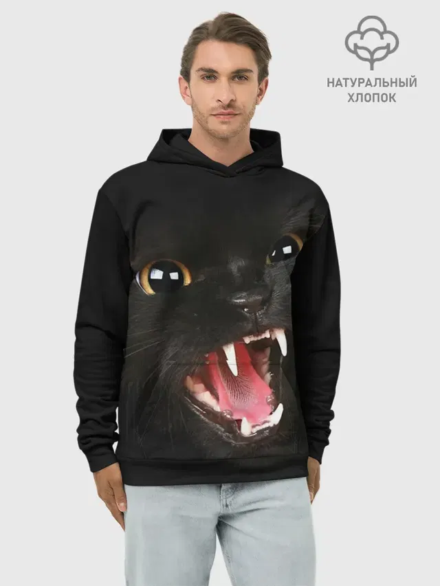 Черный кот