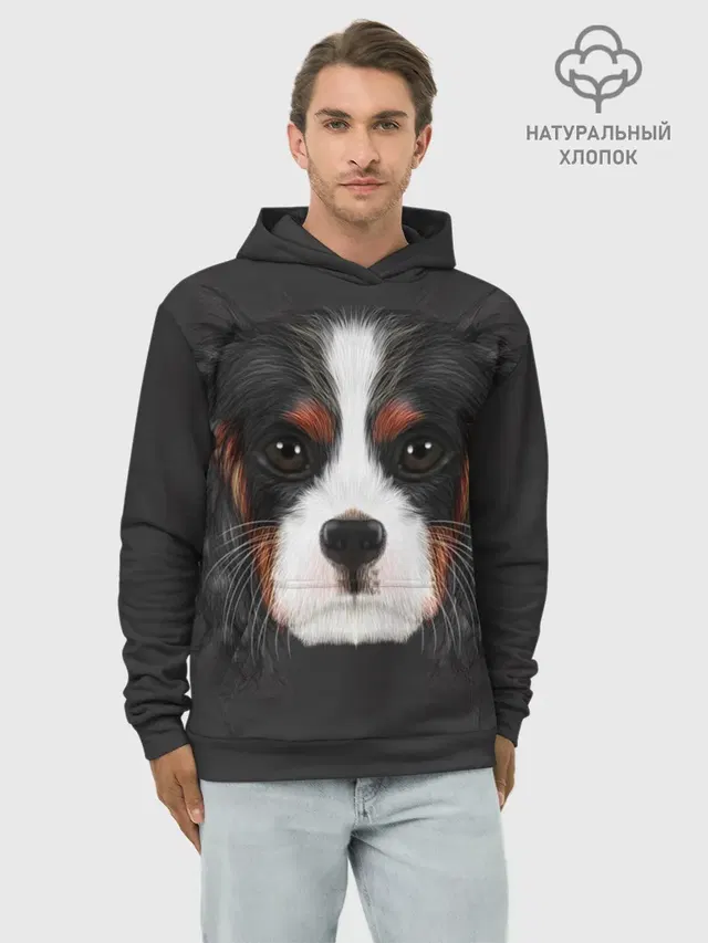 Худи мужской базовый хлопок с принтом «Кавалер кинг чарльз спаниель — Cavalier King Charles»