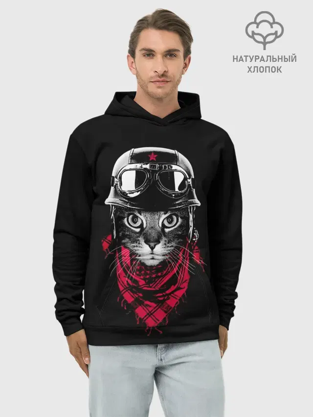 Кот Пилот