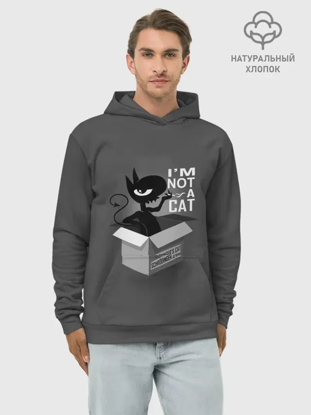 Худи мужской базовый хлопок с принтом «Разочарование — Disenchantment. Im not a Cat»