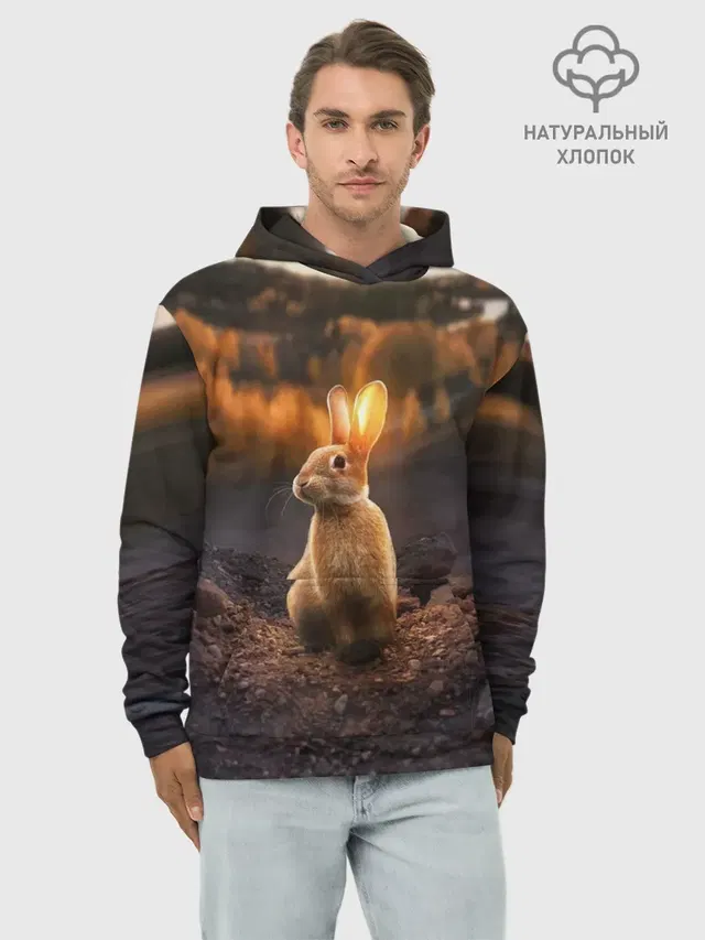 Солнечный зайчик