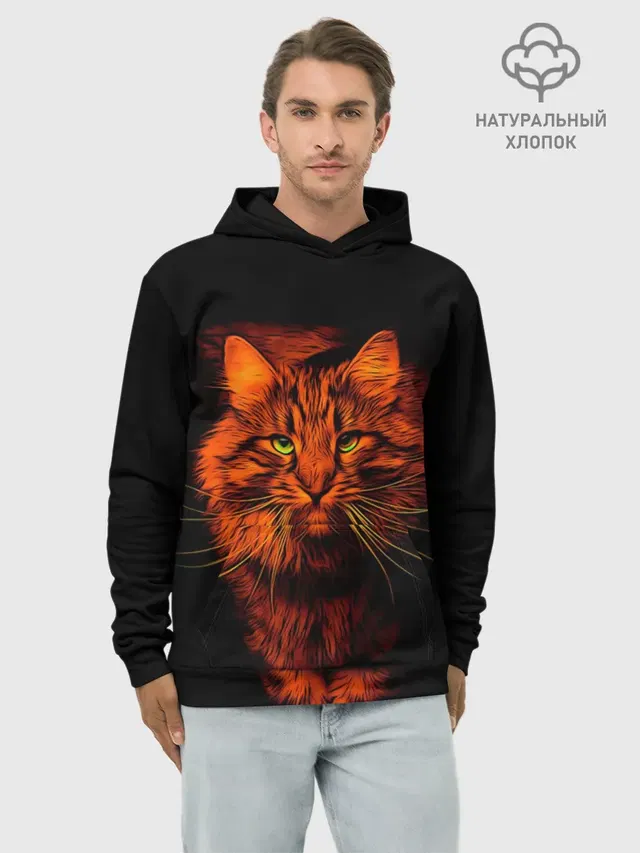 Рыжий кот