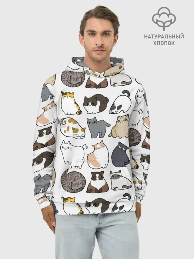 Котики