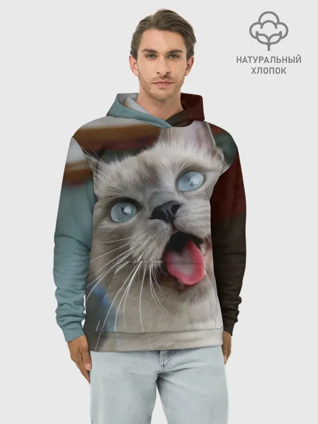 Сиамский котенок