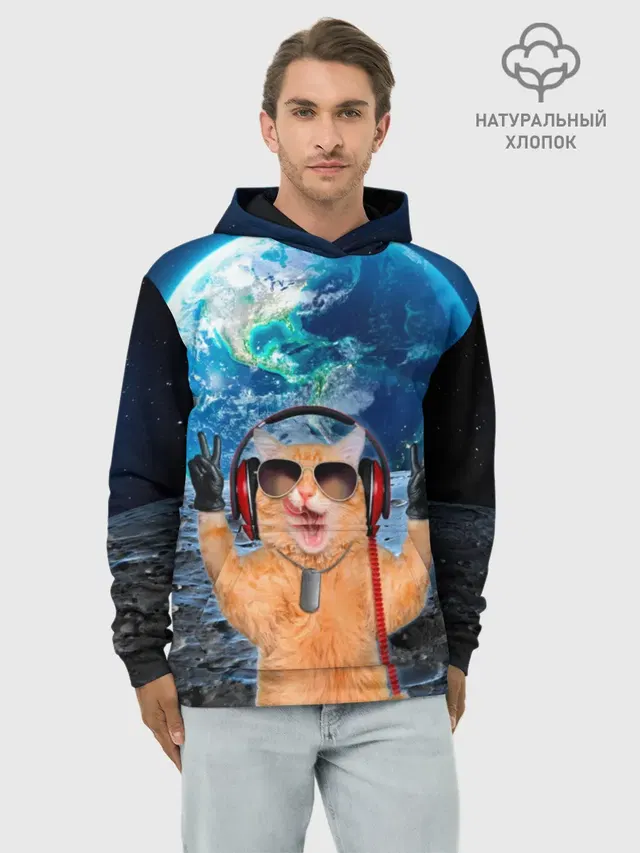 Кот на луне